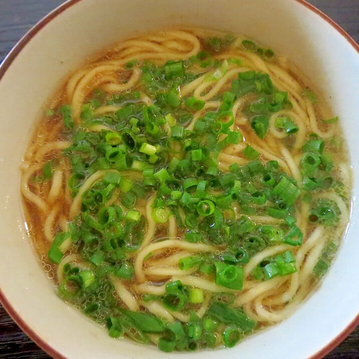 ネギたっぷりラーメン